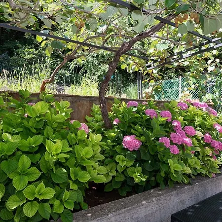 Апартаменты Sanja *